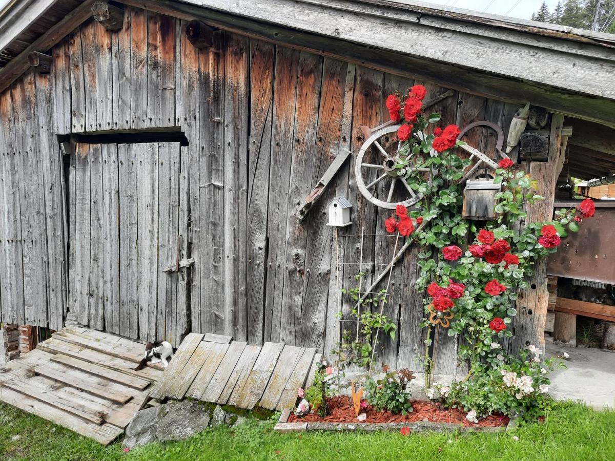 Ferienwohnungen Rieder Gerlos Bagian luar foto